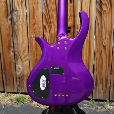 Schecter Diamond Series FreeZesicle Freeze Purple 4-String | Reverb