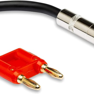 Hosa Dual Banana Speaker Adaptor Cable, USB, Red (BNP116RD) image 1