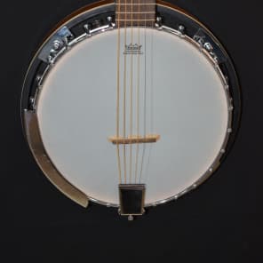 Davison 6 string online banjo