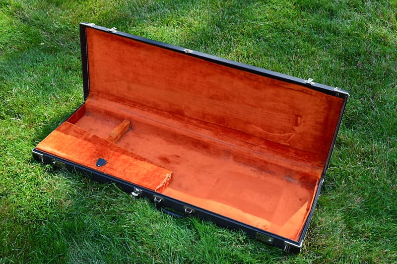 Vintage 2024 fender case