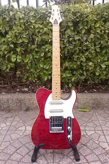 Greg bennett telecaster top
