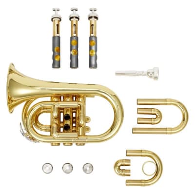 Standard Pocket Trumpet Bb Full Kit With Case & Accessories Bundle image 9