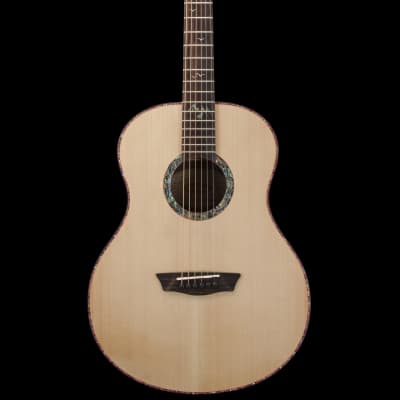 Washburn BTS24s Bella Tona Elegante S24s Acoustic Guitar 2018 no case image 2