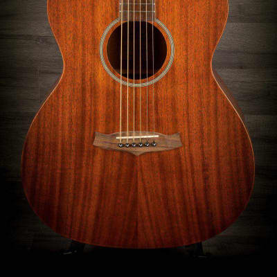 Tanglewood tw130sm store