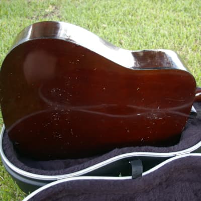 Trump Dreadnought with Vintage Case image 19
