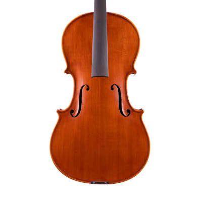 Cello Antonius Stradivarius Cremonensis Faciebat Anno 1721 Made