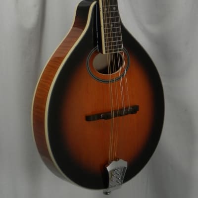 Gold Tone GM-50+: A-Style Mandolin with Pickup and Bag High Gloss Tobacco Sunburst image 2