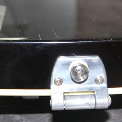 DeArmond M75 Chamagne Sparkle Jazz Guitar Hard case! image 23