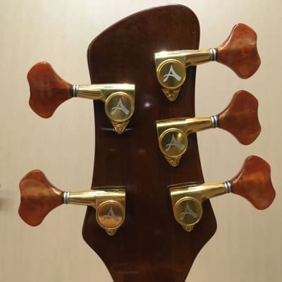 Athlete Acoustic Fretless 5-string Bass image 5