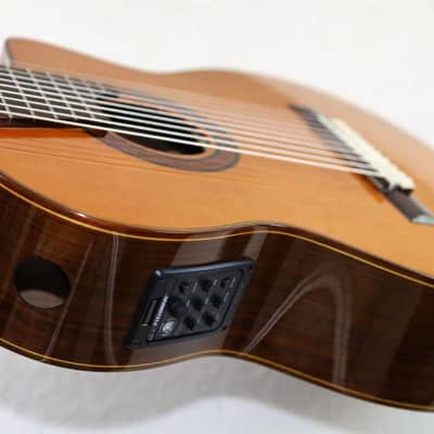 Bartolex SLC10CEL Classical 10-String Harp Guitar, w/Pickup, Cutaway, Sound Port, w/Softshell Case image 18