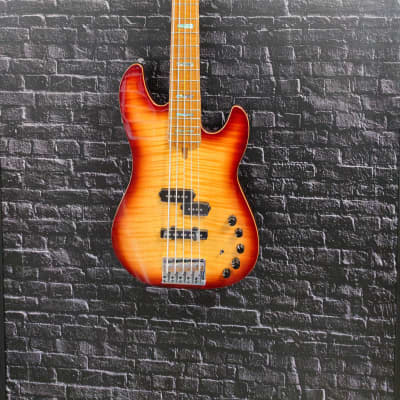 Sire Basses Series Marcus Miller P10+A4 / Alder flamed Maple Top for sale