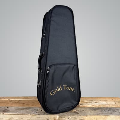 GM-35 F-Style Mandolin with Case image 8