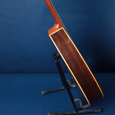 Giannini Craviola AWKNS6 / Nylon String and Bossa Ready! image 10