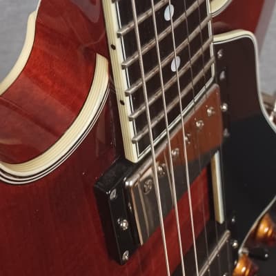 Eastman T484 Thinline Archtop with Hard Shell Case image 3