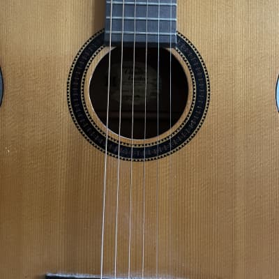 Halo Custom Guitar Review: MERUS-7-R-27''-HIPSHOT-GRAPHIC