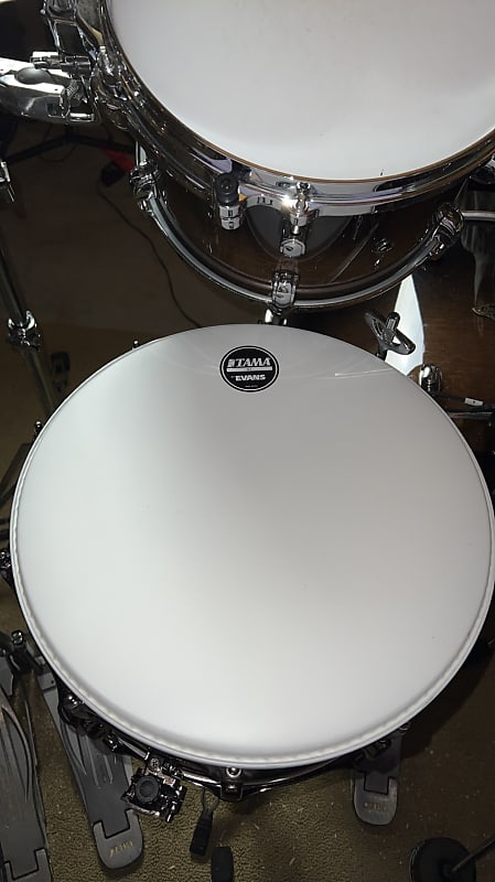 14 Inch Evans G1 Tama Stock Snare Drum Head | Reverb España