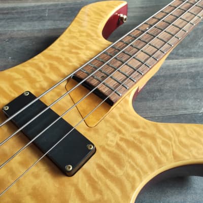 Edwards (by ESP) E-T-98EL Tetsu (L'Arc-en-Ciel) Signature Model Bass image 4