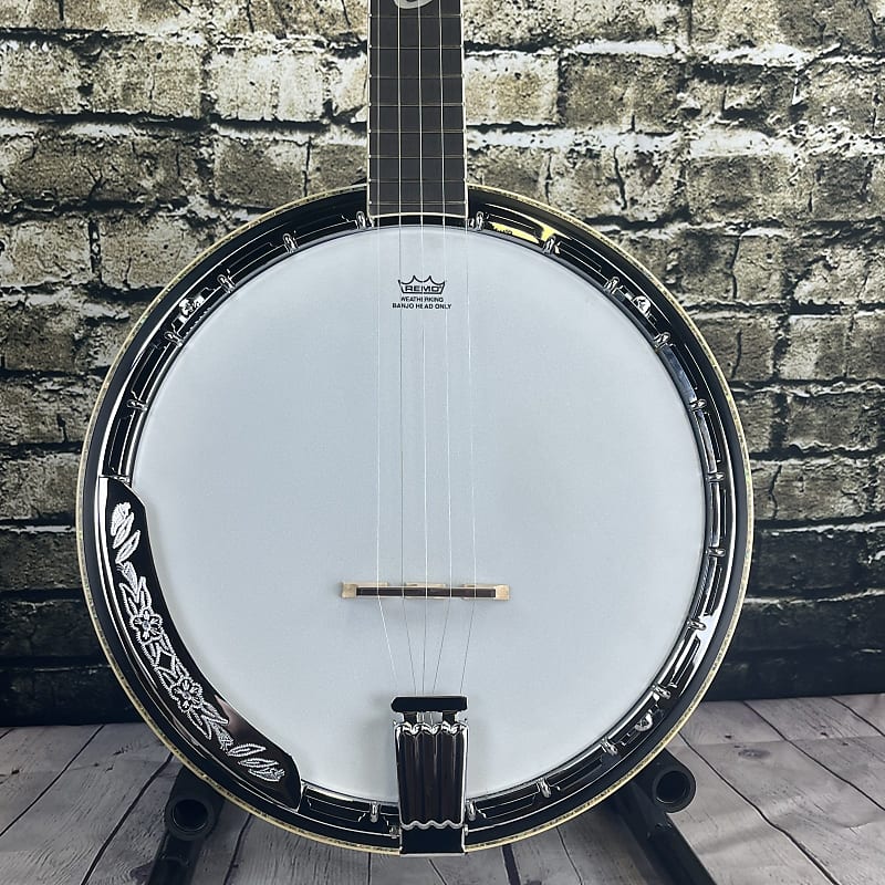 Ibanez B300 5 String Closed Back/Resonator Banjo - (Used) | Reverb