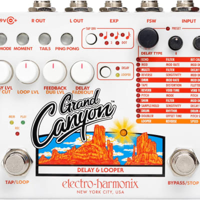 Electro Harmonix Grand Canyon Delay / Looper Pedal image 1