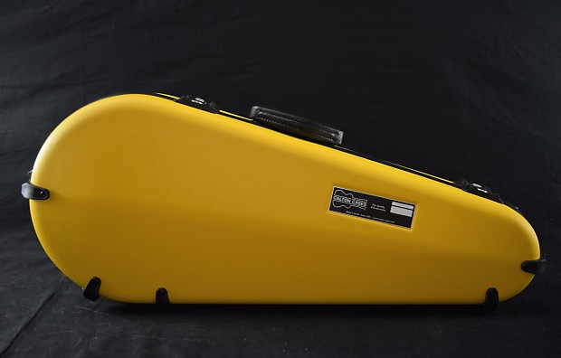 Calton mandolin shop case for sale