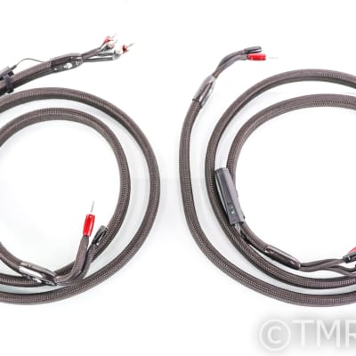 AudioQuest Oak Bi-Wire Speaker Cables; 3m Pair; 72v DBS image 4