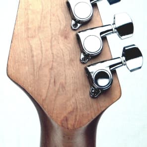 Austin Electric Guitar image 11