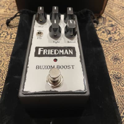 Friedman Buxom Boost