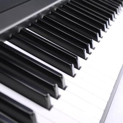 Korg B2 Digital Piano - Black - ( SNR-1541 ) image 4