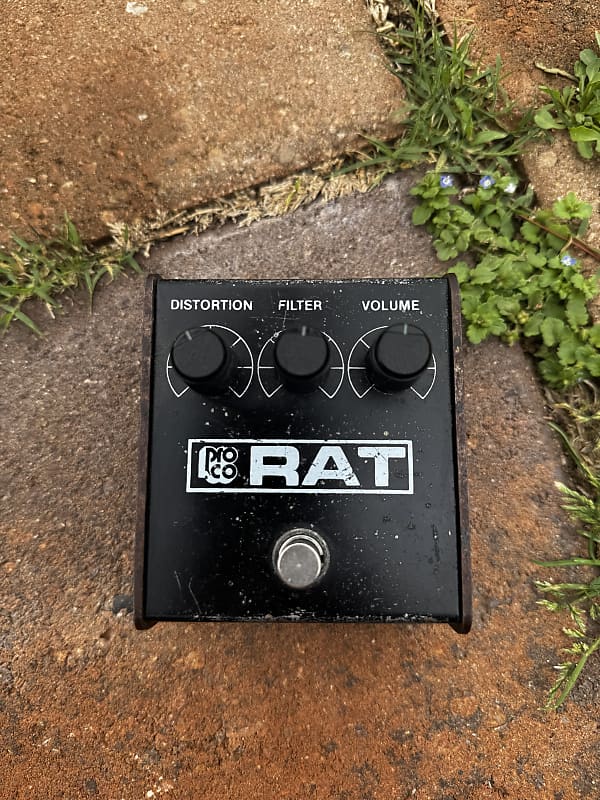 ProCo Rat