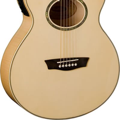 Washburn EA20 Festival Series Acoustic-Electric, Free Shipping for sale
