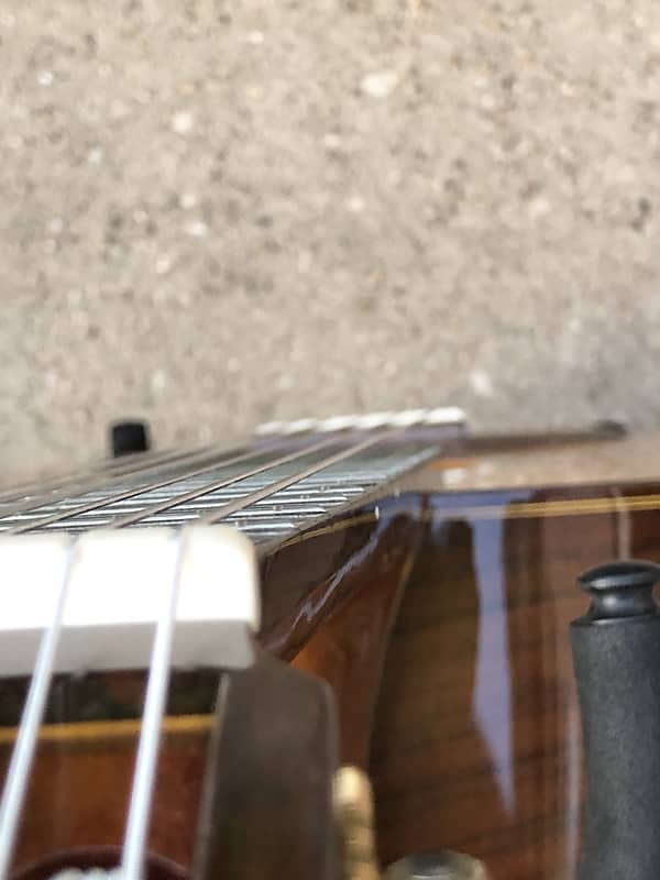 HIROUMI YAMAGUCHI ギター Hiroumi Yamaguchi no. 20s, 1983 Classical guitar | Reverb