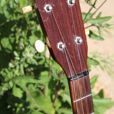 1962 Martin 5-15T  Mahogany tenor guitar with hard case. image 5