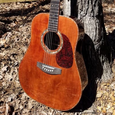 Crystal Forest CFSS Custom Shop Sitka Spruce / Rosewood Dreadnought 2019 Reddish brown image 6