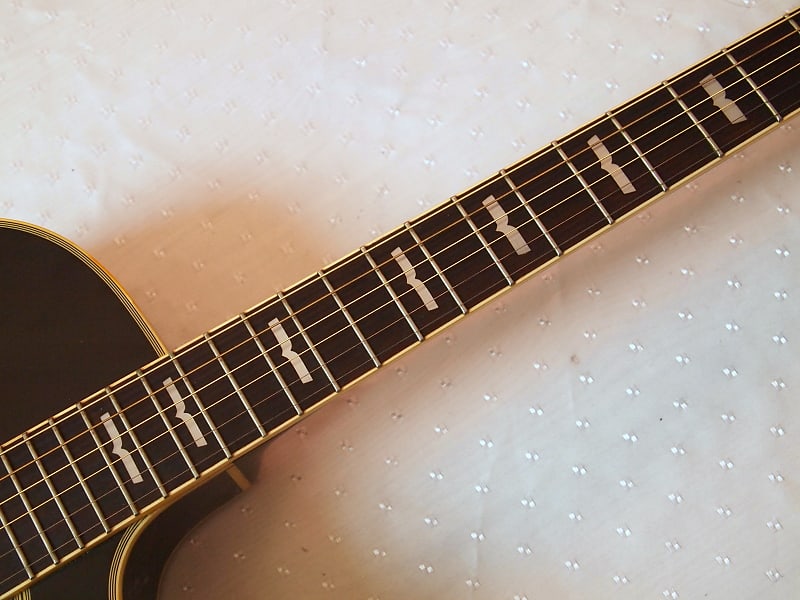 Washburn EA22 Nuno Bettencourt Signature Series Acoustic