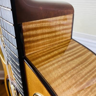 Paul McGill Resonator Guitar Del Vecchio Style image 9