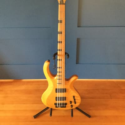 Schecter Diamond Series Riot 8 Session 8 string bass image 2