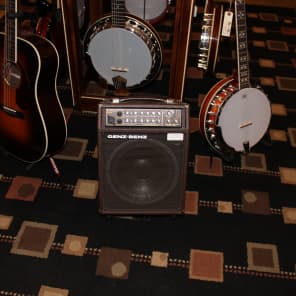 Genz Benz Shenandoah Compak 300 Acoustic Amp image 5