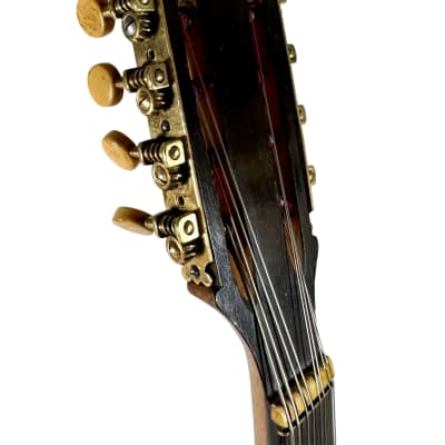 Concert Mandola Flat-Back Emanuele Egildo N°240 from 1920 image 15