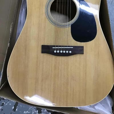 Pignose Cutaway Dreadnought Acoustic Guitar Open Box Never Used Perfect Exterior Free Ship US image 7