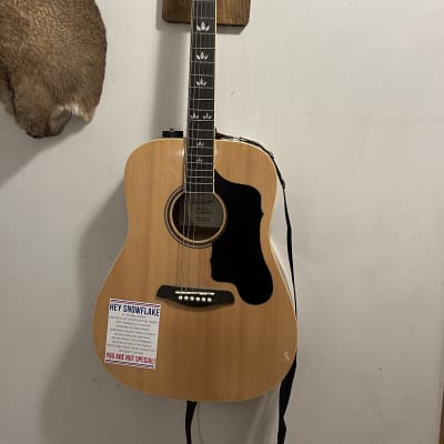 Sawtooth Acoustic Guitar for sale