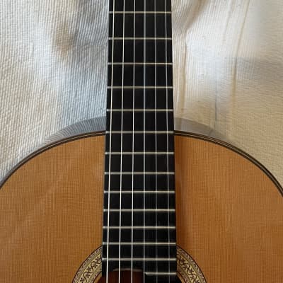 2011 Ashley Sanders #51 Cedar/EIRW - Australian Luthier Lattice Braced Classical Guitar image 11