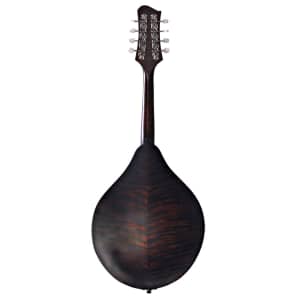 Eastman MD305 A-Style Mandolin Solid Spruce & Solid Maple image 3