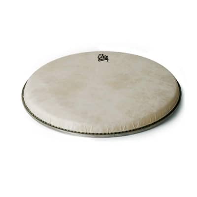 Five-Star Banjo Head, Frosted White, 11-dia. high crown