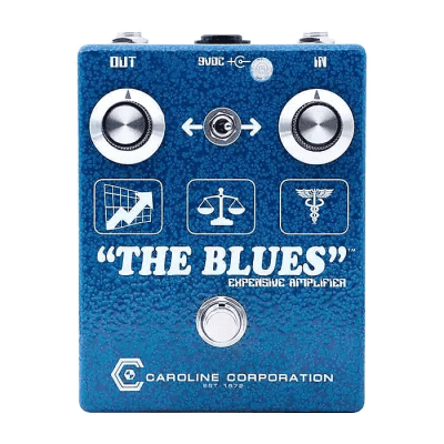 Caroline Guitar Company The Blues Expensive Amplifier