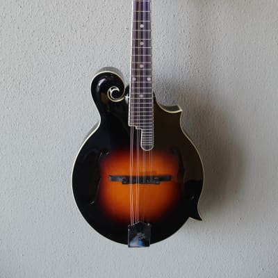 Brand New The Loar LM-520 Hand Carved F-Style Performer Mandolin with Gig Bag - Vintage Sunburst for sale
