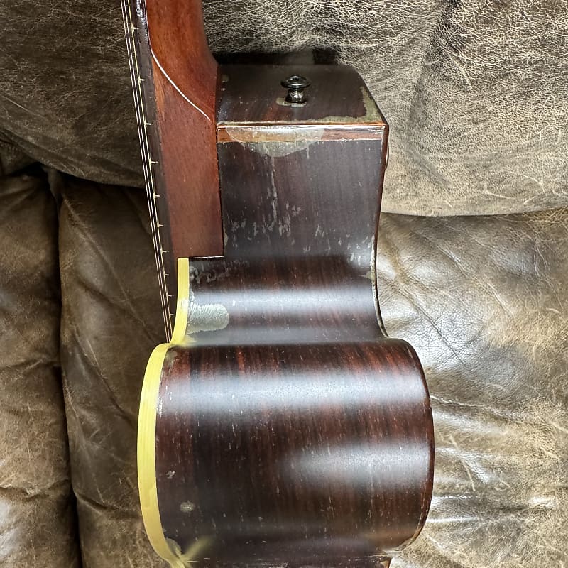 Tacoma Chief C2C - USA Made | Reverb