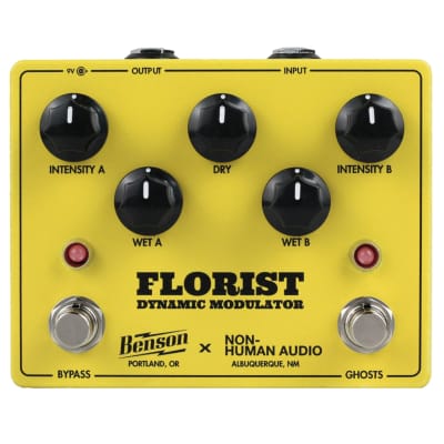 Non-Human Audio Robins | Reverb