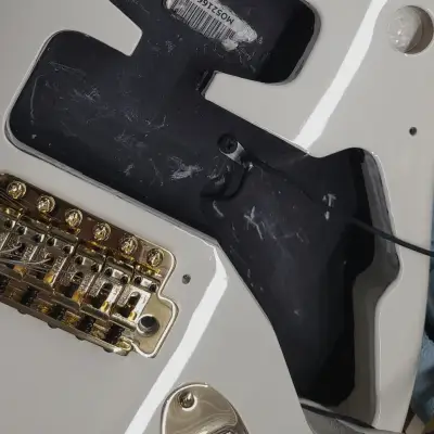 Custom Fender Stratocaster Gilmour Inspired Olympic White "#0001" with Gigbag image 10