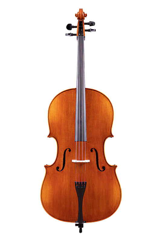 Professional Montagnana Cello 4/4 - Hand-Made in Romania #60 image 1