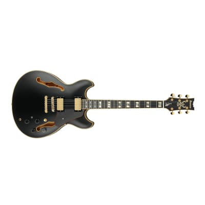 Ibanez JSM20 John Schofield Signature Electric Guitar Hollow Body Black Low Gloss w/ Case - JSM20BKL for sale